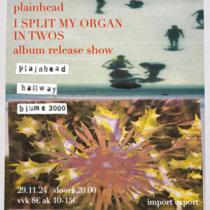 New Basement Pres. plainhead’s ALBUM RELEASE SHOW