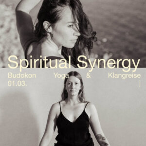 spiritual synergy budokon yoga and sound journey
