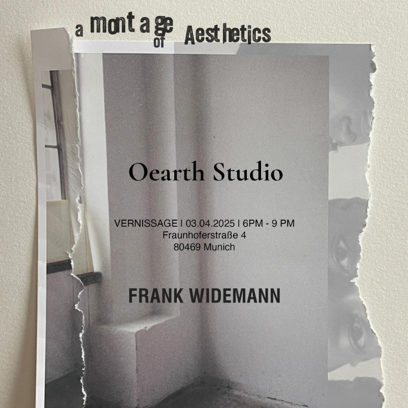 a montage of aesthetics exhibition by oearth and frank widemann