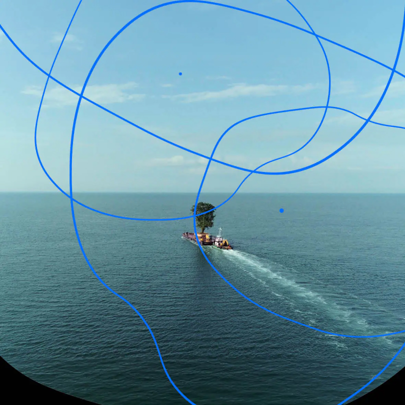 as part of the exhibition trees, time, as part of the exhibition trees, time, architecture we are presenting two movies